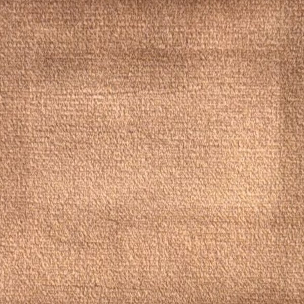 Camel Velvet